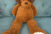 Large doggy soft toy