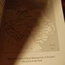 Voices fron the Grave / Ed Moloney /2010 / 1st paperback edition Image 7