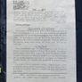 Egyptian Papyrus Prints- Pair Image 2