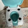 potty seat( fisher price) Image 3