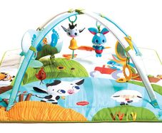 Tiny Love Playmat