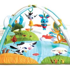 Tiny Love Playmat