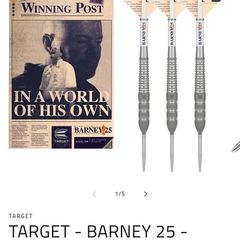 Darts Barney 25