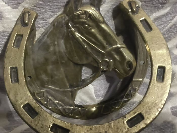 two brass horse shoe door knockers