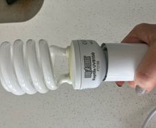 Reptile lamp