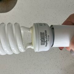 Reptile lamp