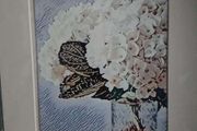"White Hydrangea" by Moya kearney