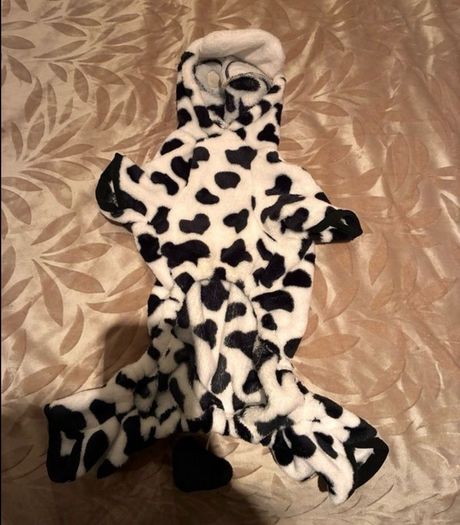 Dog Cow Halloween Costume