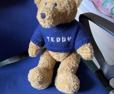 Teddybear