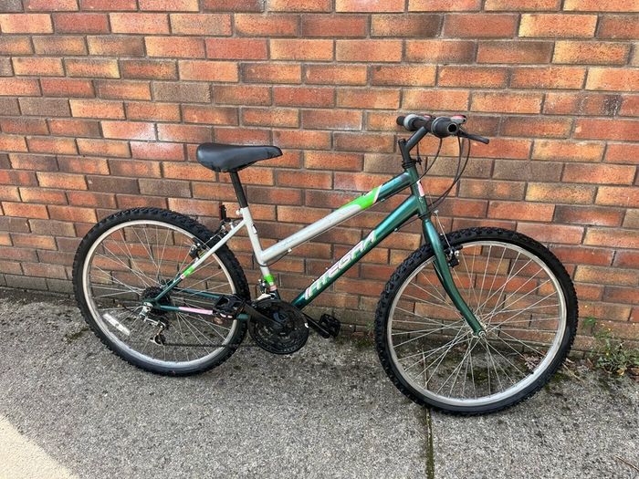 26 Inch Integra Everglades bike