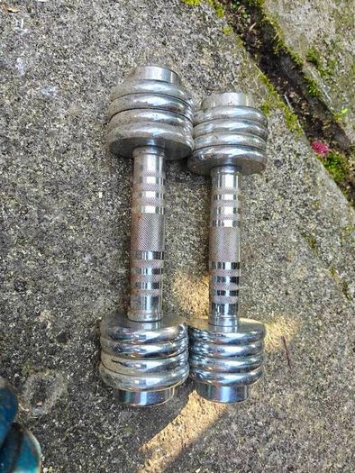 Excersize weights