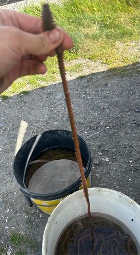Live & frozen baits
