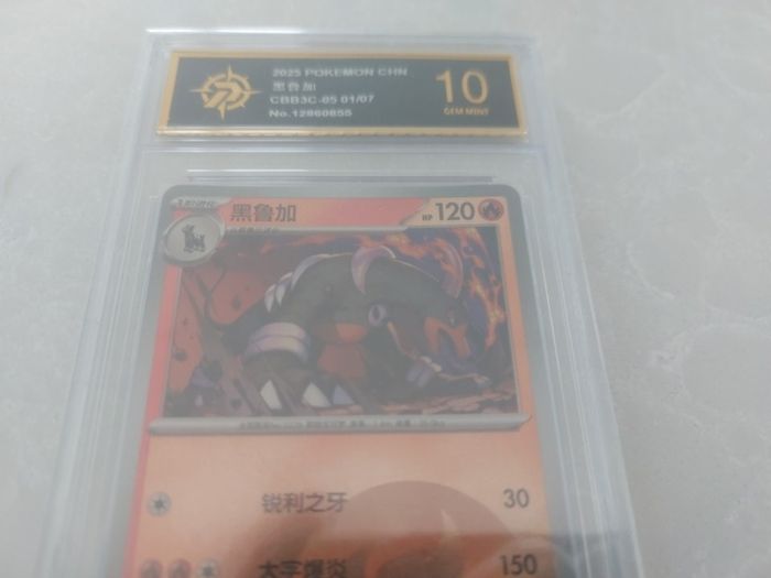 Houndoom Pokemon