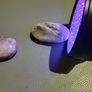 Agate volcanic uv reactive Image 5