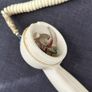 Vintage Bakelite Phone Image 5