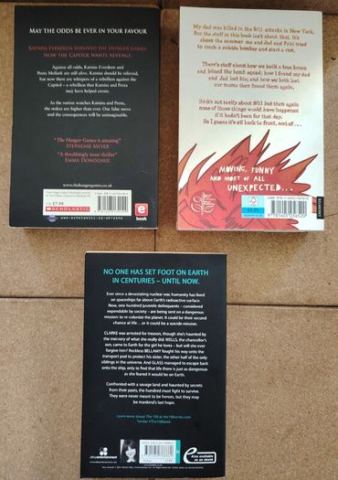 YA Dystopian & Teen Fiction Book Bundle (The Hunger Games, The 100)