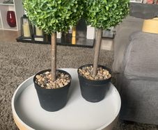 artifical plants