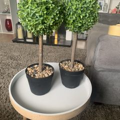 artifical plants