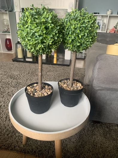 artifical plants