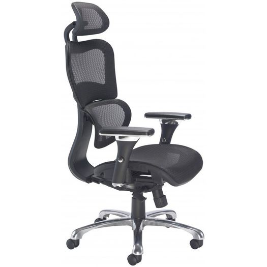 Chiachi Ergonomic High Back Managers Mesh Chair and Mesh Seat With Head Rest