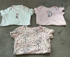 baby girl bodysuits 12-24 months