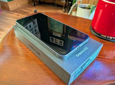 Samsung Galaxy S25