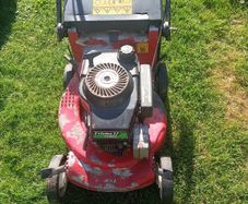 Harry petrol lawnmower seh
