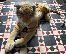 Large soft tiger toy