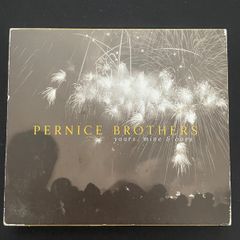 Pernice Brothers - Yours, Mine & Ours (Irish Press)