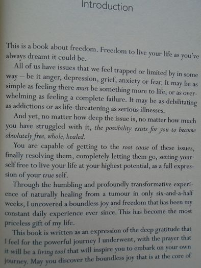 The Journey, Brandon Bays, Paperback book, Health and healing