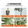 Artificial Olive Tree, 1.8 m Tall Faux Plant, Secure PE Material & Anti-Tip Tilt Protection Low-Maintenance Plant, Lifelike Green Fake Potted Tree Image 4