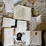 Dublin Mint Office Golden Predecimal Penny Coin Complete Set Image 3