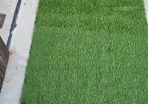 astro turf
