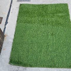 astro turf
