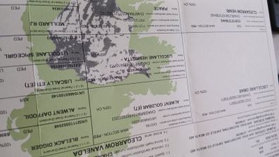 Pbr ch hefers with certs