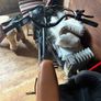 e bike Image 3
