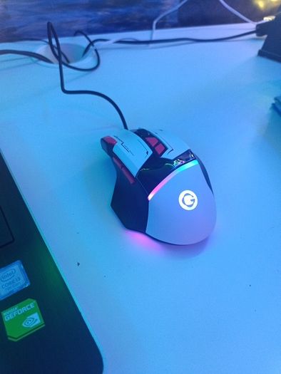 Mouse