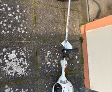 stihl strimmer fs50c