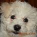 doti