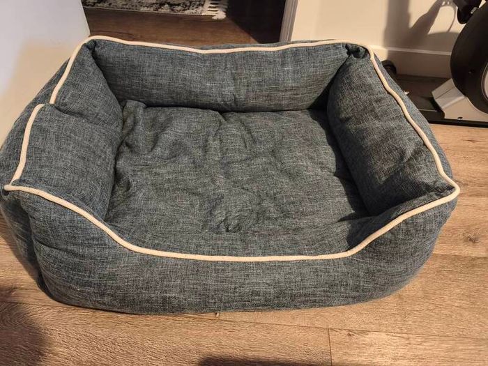 dog bed