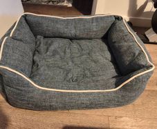dog bed