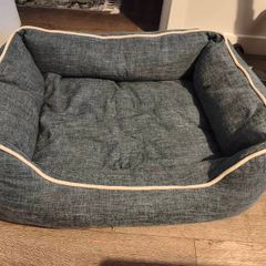dog bed