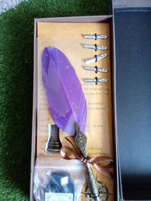 feather ink pen