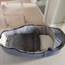Joolz Geo2 Buggy + Maxi Cosi carseat Image 7