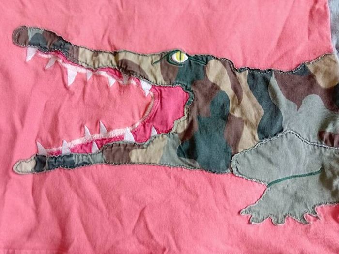 Mini Boden Crocodile Application