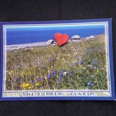 Ireland Postcard : The Burren , Co. Clare , Great Rock , Wild Flowers