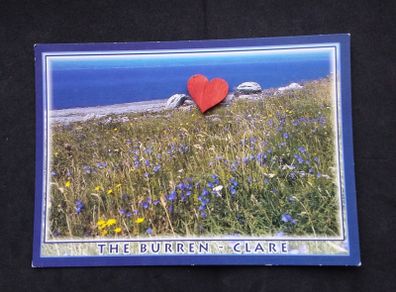 Ireland Postcard : The Burren , Co. Clare , Great Rock , Wild Flowers