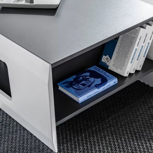 Modern Coffee Table With Storage Bicolour