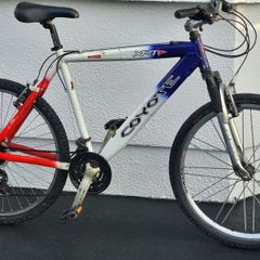 Cheap Inexpensive Runaround Bike No Offers