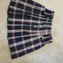 Zara skirt Image 2